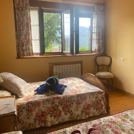 Chalé Casa Luisa Biedes, Pilona